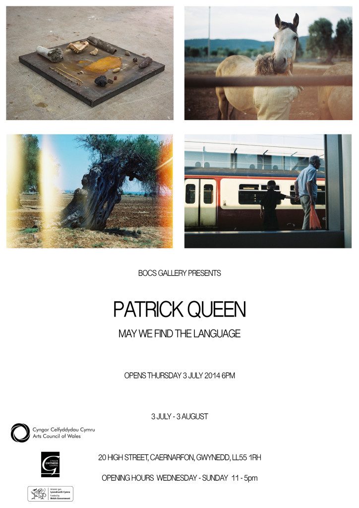 Patrick Queen – May We Find the Langauge